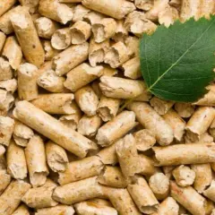 Jak produkować pellet: Kluczowe materiały i maszyny, które musisz znać