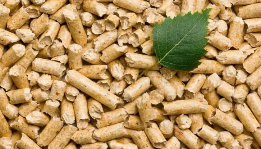 Jak produkować pellet: Kluczowe materiały i maszyny, które musisz znać